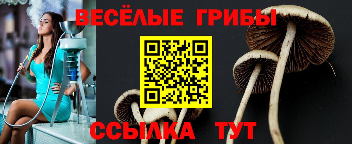 A PVP Свободный